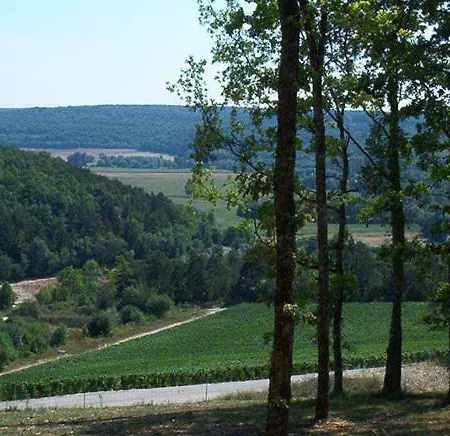 Le Val Des Vignes Prázdninový dům Essoyes